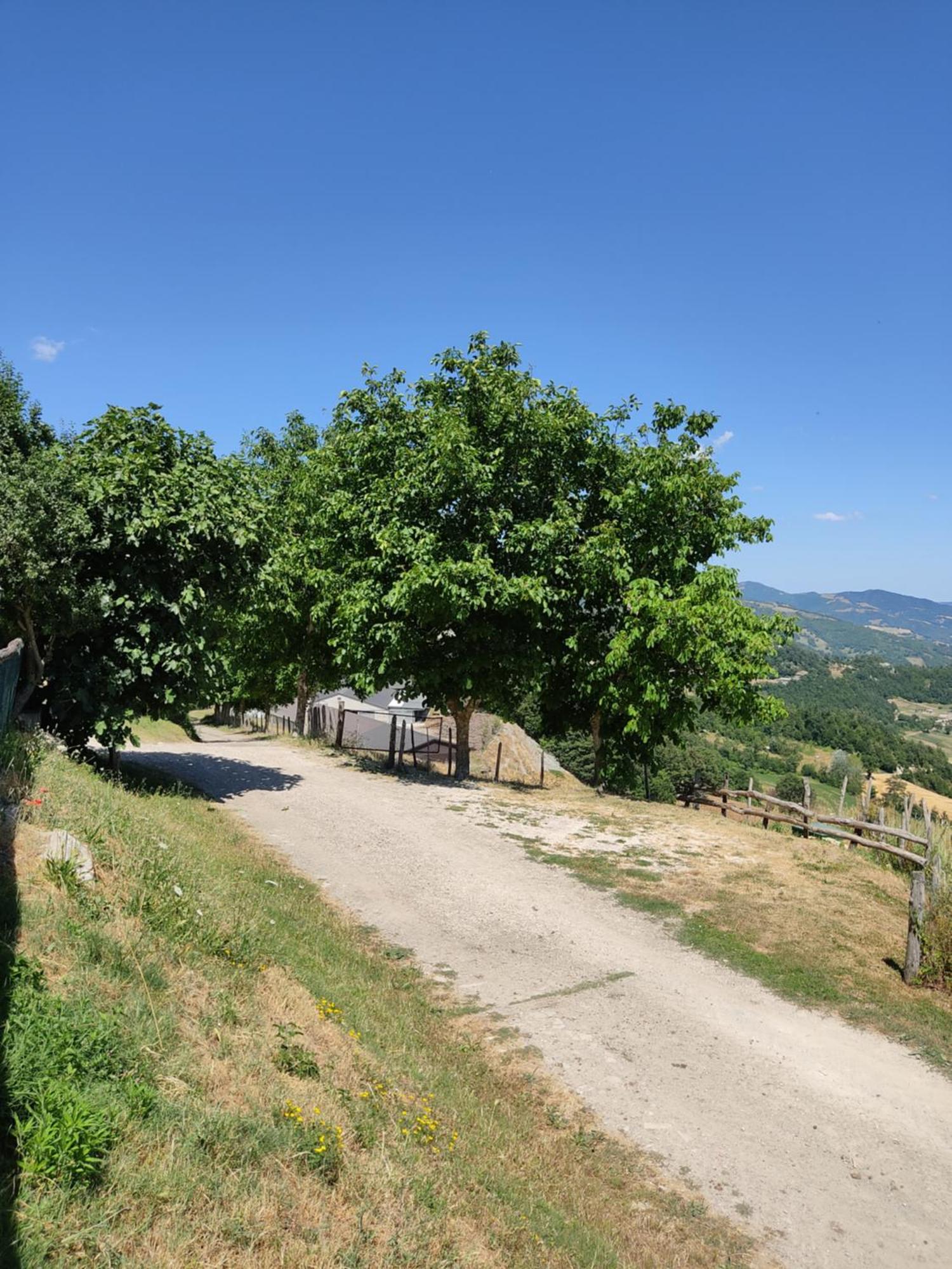Agriturismo Al Monte San Piero in Bagno Exterior foto